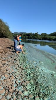 Departamento de Meio Ambiente atende ocorrências no Rio Taquari e no Arroio Jacaré